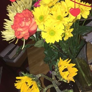 Meet your Posher, Allie